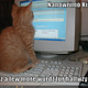 Image for article titled How can you tell if your novel is just an overgrown short story?